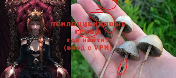 мяу мяу мука Каменск-Шахтинский