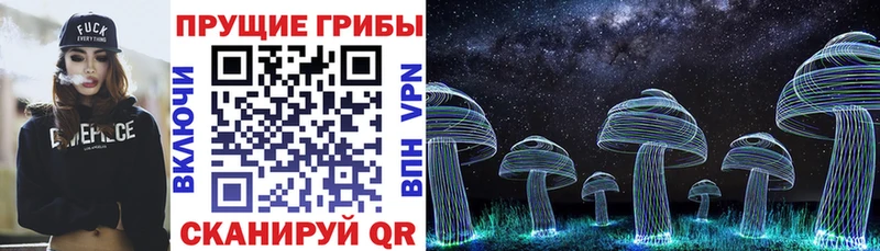 Купить закладки  Енисейск  Псилоцибиновые грибы GOLDEN TEACHER 